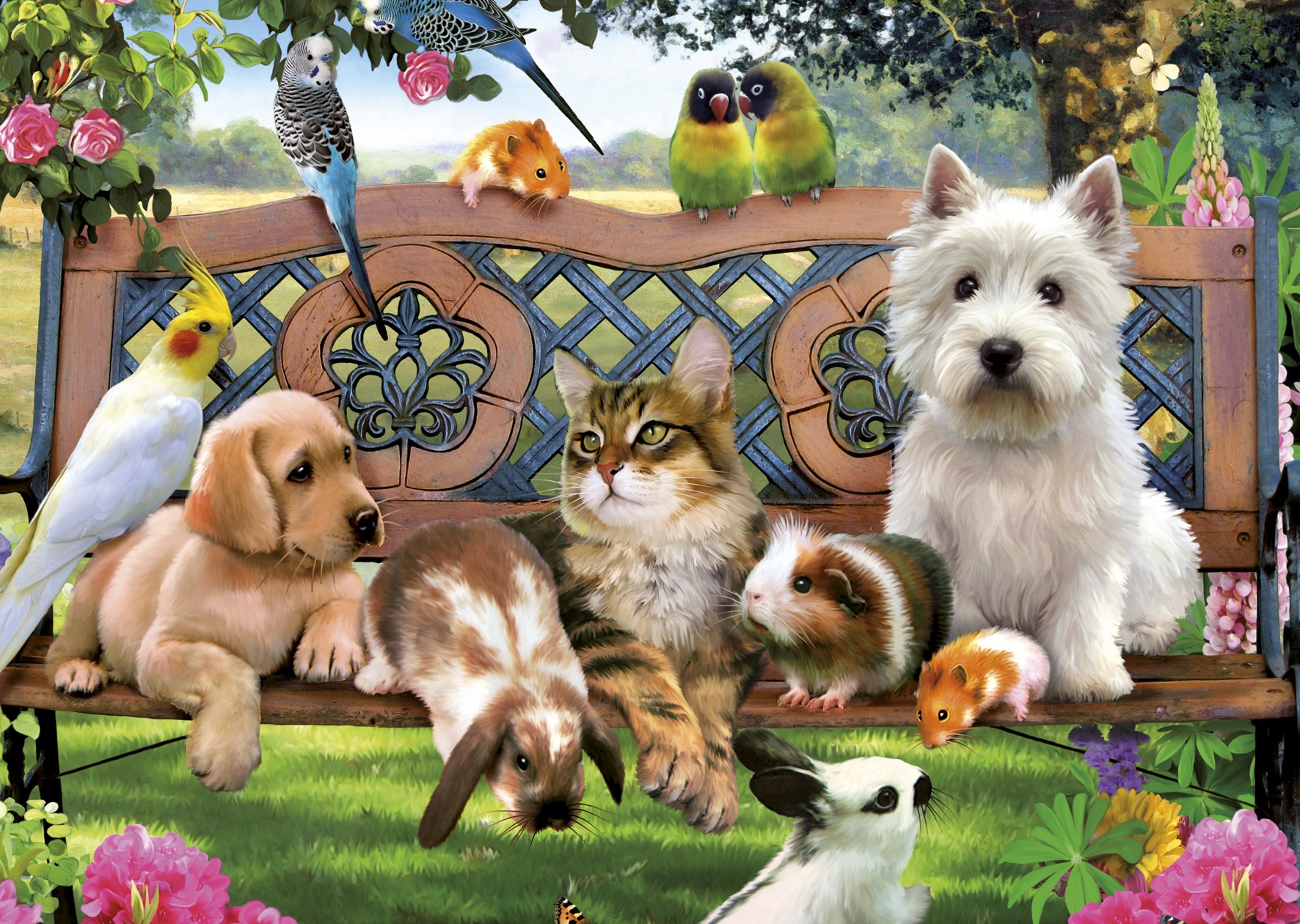 Boncuk Petshop Diyarbakır En Yakın Petshop Mağazası