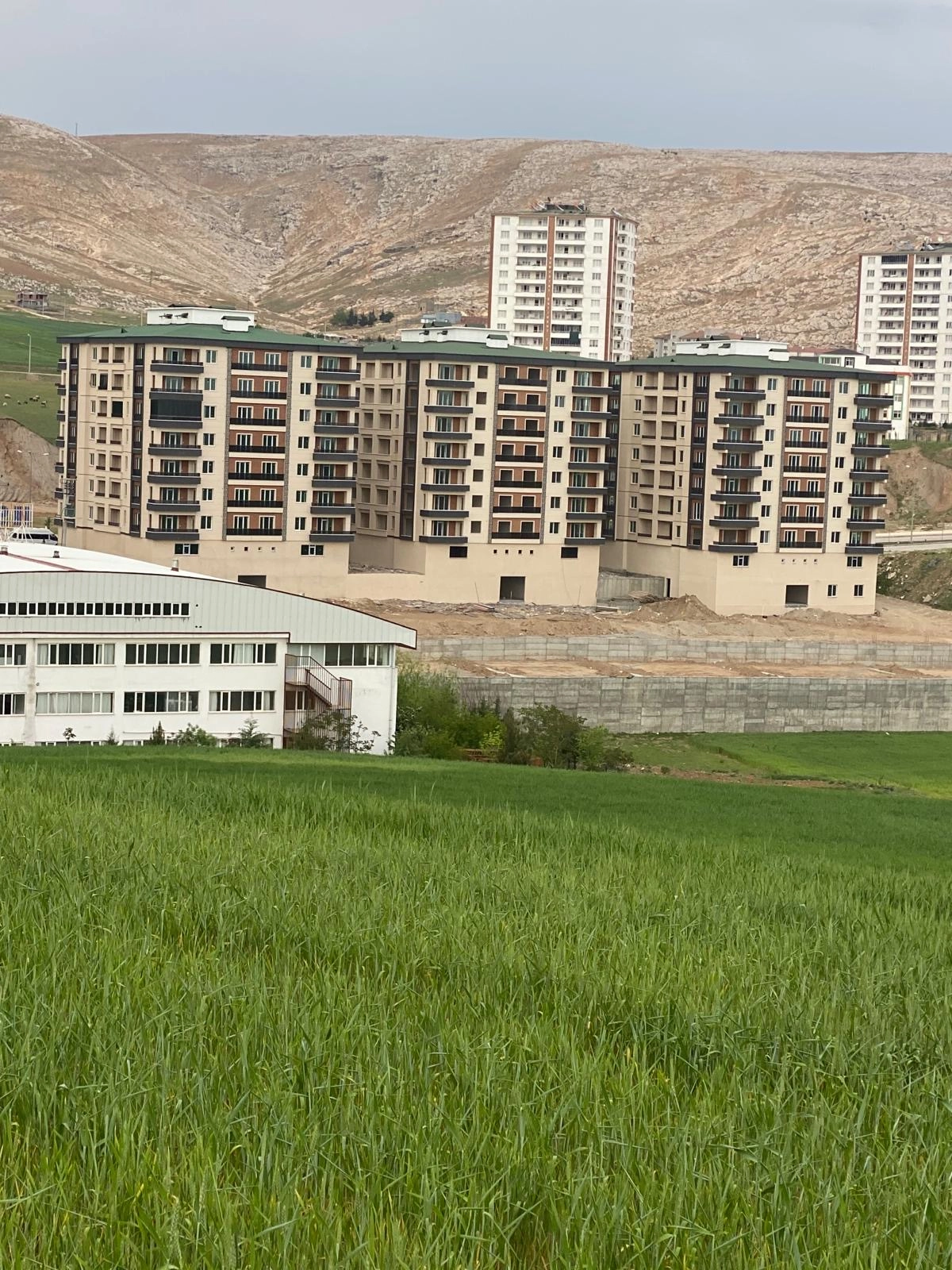 Silvan 