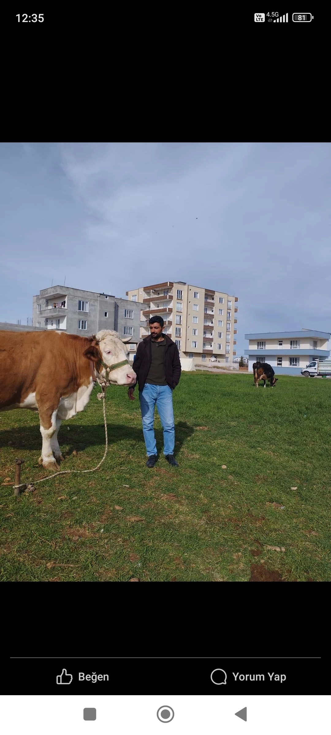 Mehmet Mertal Hayvancılık 