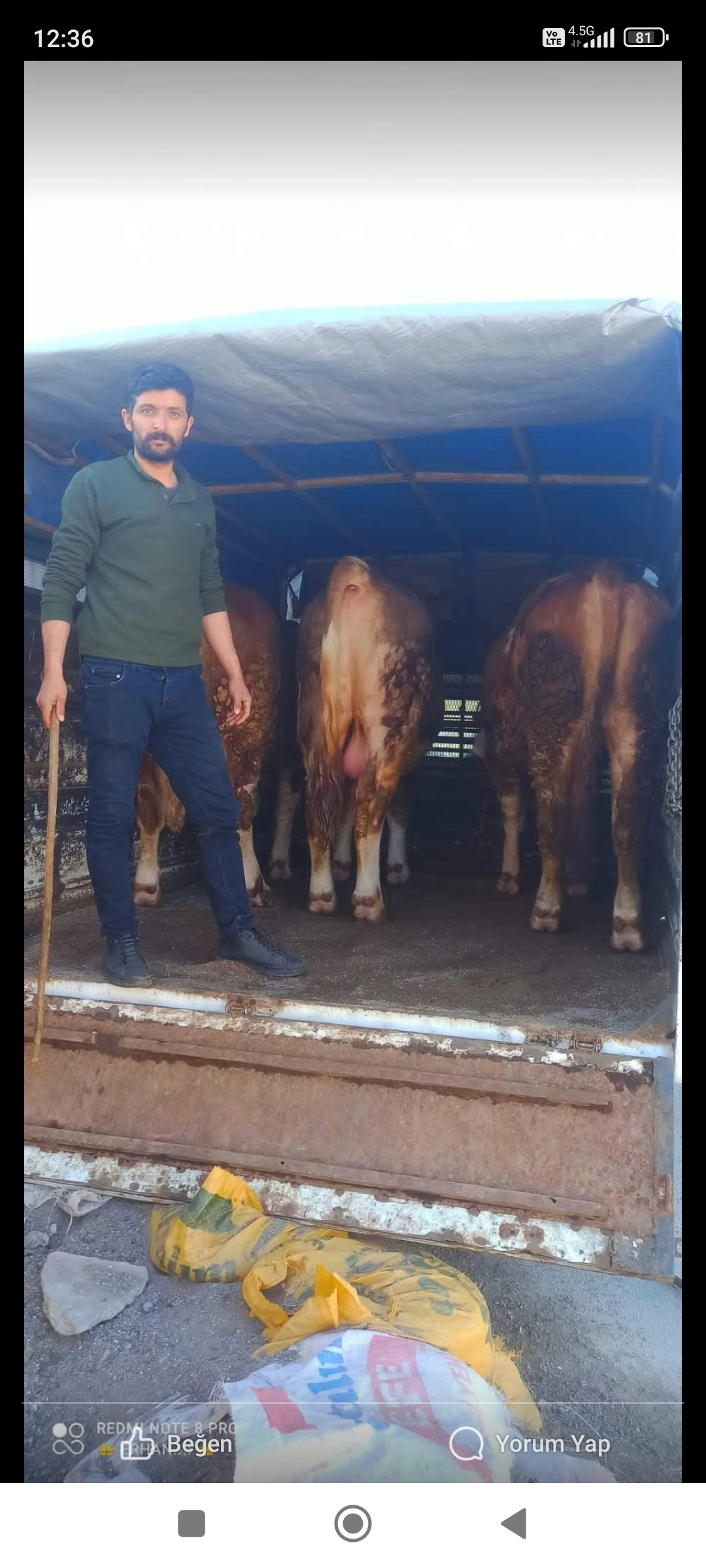 Kurbanlık 