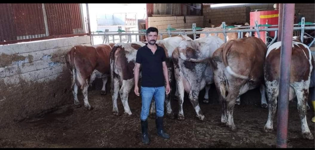 Mertal Hayvancılık ????