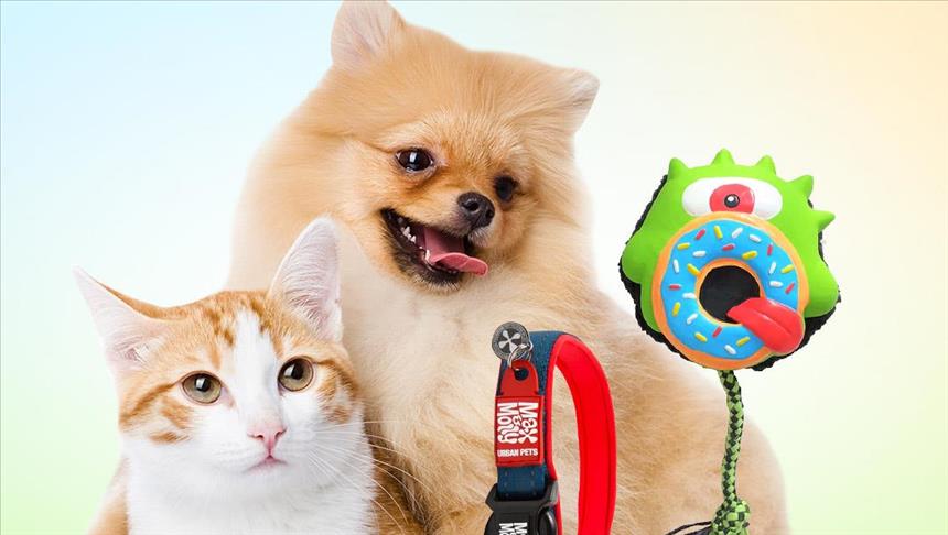 PETSHOP