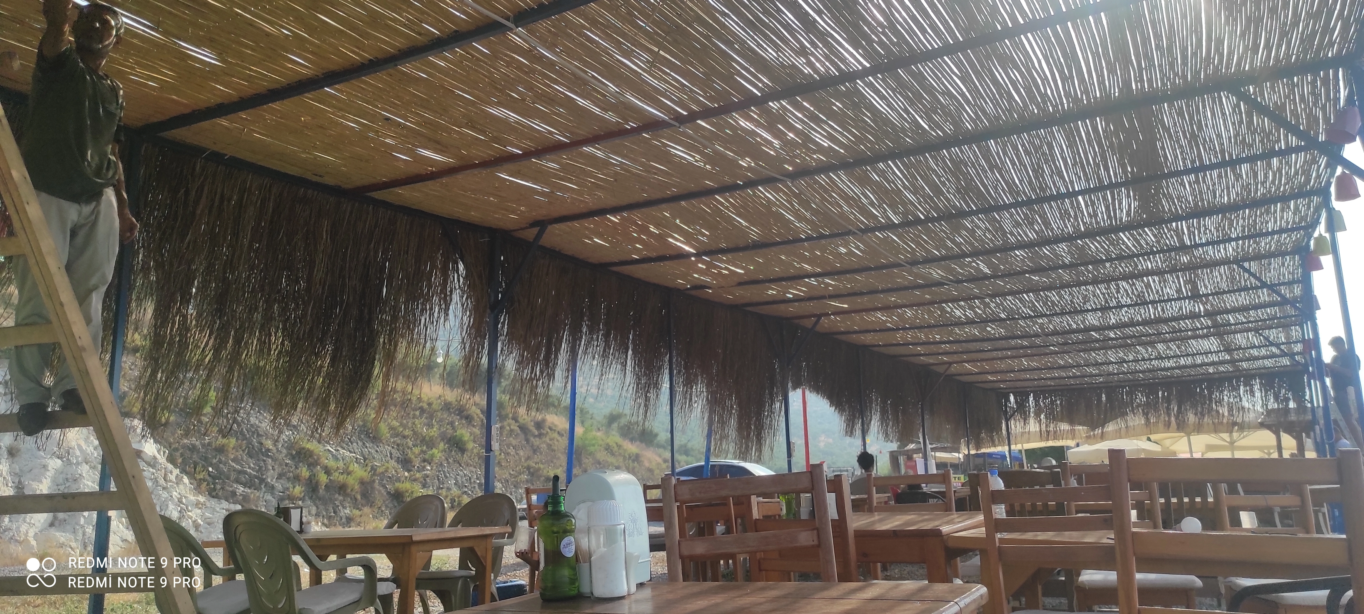 Bodrum Hasır Bambu