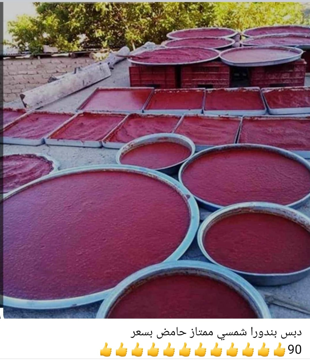  اكتشف مزيج النكهات الرائعة والمكونات الطبيعية التي تضفي طابعاً فريداً على كل وجبة. دبس بندورا شمسي ممتاز حامض