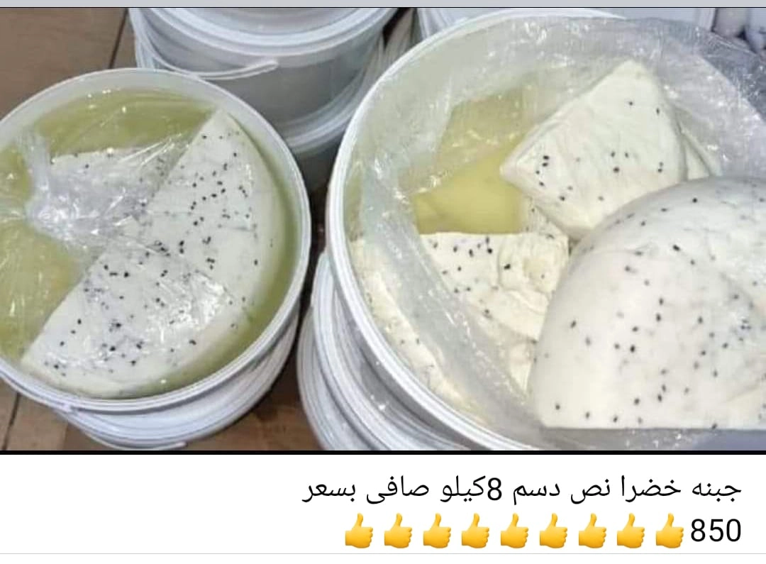 لتنعم بتجربة استثنائية تثري حواسك وتغمرك بالسعادة. جبنة  خضرا نص دسم 8 كيلو صافي